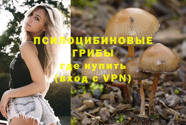 MESCALINE Бородино