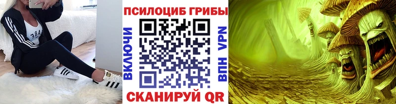закладки  Вологда  darknet какой сайт  Псилоцибиновые грибы ЛСД 